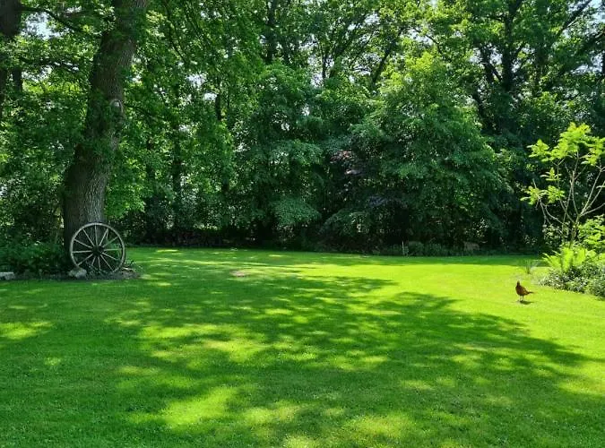 Zum Burgwaechter Guest house *